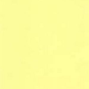 Meet your Posher, Sylvia